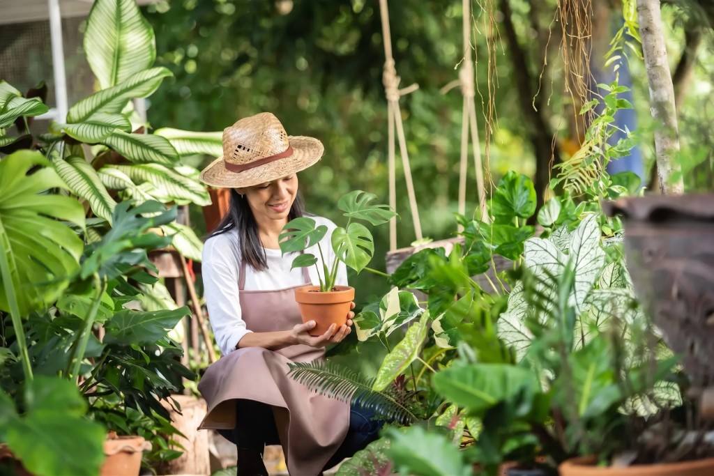 Vendedora de plantas con Monstera en vivero